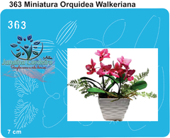 363 - Miniatura Orquídea Walkeriana