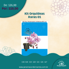 Kit Orquídeas Raras 01 - janaina cordeiro artes