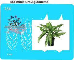 454 - Miniatura Aglaonema