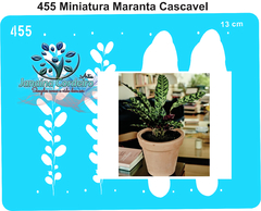 455 - Miniatura Maranta Cascavel