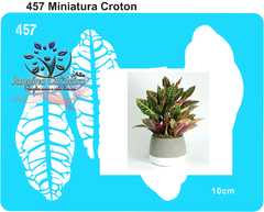 457 - Miniatura Croton