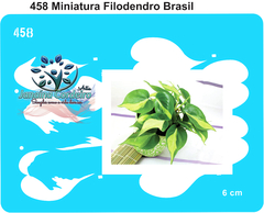 458 - Miniatura Filodendro Brasil