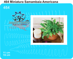 464 - Miniatura Samambaia Americana