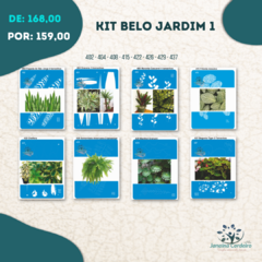 Kit Belo Jardim 1