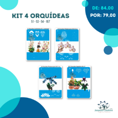 Kit 4 Orquídeas - comprar online