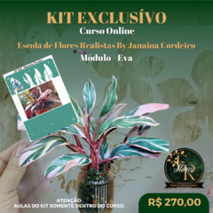 KIT Curso Online - Escola de Flores Realistas By Janaina Cordeiro | Módulo - E.V.A. on internet