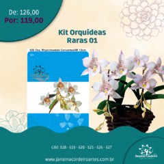 Kit Orquídeas Raras 01 - loja online