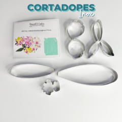 Cortador 505 - Cattleya Amethystoglossum - buy online