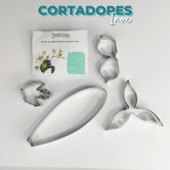 Cortador 527 - Orquídea Rhynchostele Cervantesii - comprar online