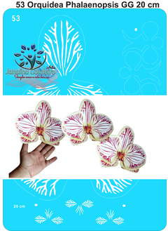 53 - Stencil Orquídea Phalaenopsis GG - comprar online