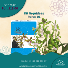 Imagem do Kit Orquídeas Raras 01