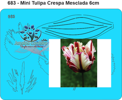 683 - Miniatura Tulipa Crespa Mesclada 6cm