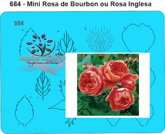 684 - Miniatura Rosa de Bourbon ou Rosa Inglesa