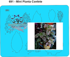691 - Miniatura Planta Confete