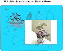 692 - Miniatura PLanta Lambari Rosa e Roxo