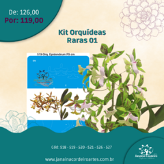 Kit Orquídeas Raras 01