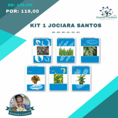 Kit 1 Jociara Santos - comprar online