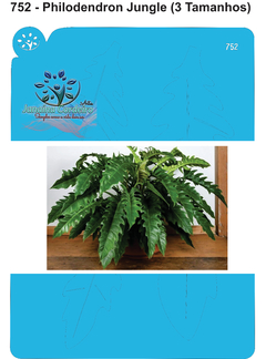 752 - Philodendron Jungle - 3 Tamanhos