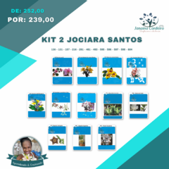 Kit 2 Jociara Santos - comprar online