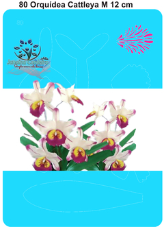 80 - Orquídea Cattleya M