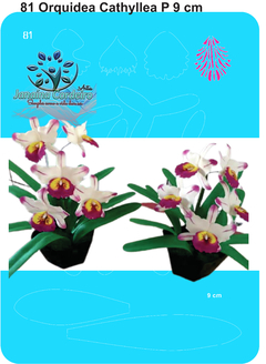 81 - Orquídea Cattleya P (9cm)