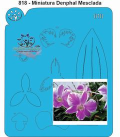 818 - Miniatura Orquídea Denphal Mesclada