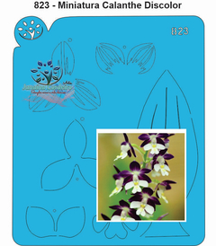 823 - Miniatura Orquídea Calanthe Discolor