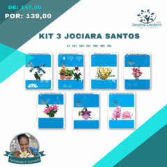 Kit 3 Jociara Santos - buy online