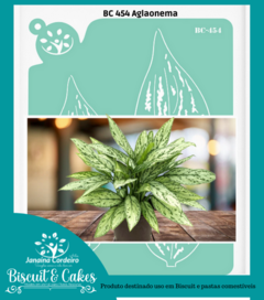 BC 454 - Aglaonema