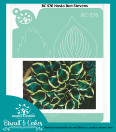 BC 576 - Hosta don Stevens