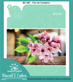 BC 661 - Flor de Cerejeira
