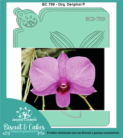 BC 799 - Orquídea Denphal