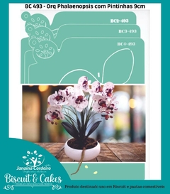 BC 493 - Orquídea Phalaenopsis com Pintinhas - comprar online
