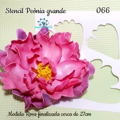 66 - Rosa Peônia grande