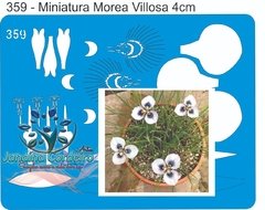 359 - Miniatura Morea Villosa 4cm