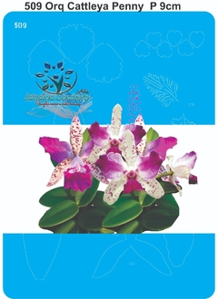 509 - Orquídea Cattleya Penny P (9cm)