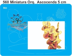 560 - Miniatura Orquídea Ascocenda (5cm)