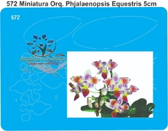 572 - Miniatura Orquídea Phalaenopsis Equestris (5cm)