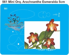 561 - Miniatura Orquídea Arachnanthe Esmeralda (5cm)