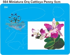 564 - Miniatura Orquídea Cattleya Penny (5cm)