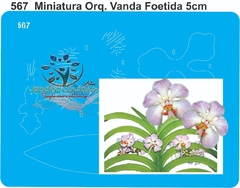 567 - Miniatura Orquídea Vanda Foetida (5cm)