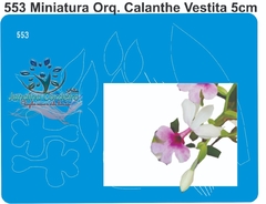 553 - Miniatura Orquídea Calanthe Vestita (5cm)