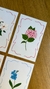 POSTALES FLORES (x4) - comprar online