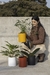 MACETA URBANA - Atelier Botánico | Plantas y cosas lindas