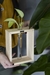 HIDROTERRARIO MADERA SIMPLE - comprar online