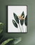 PRINT STRELITZIA REGINAE - comprar online