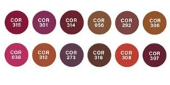 (HB8516-293) Labial en barra TONO 293- RUBY ROSE - comprar online