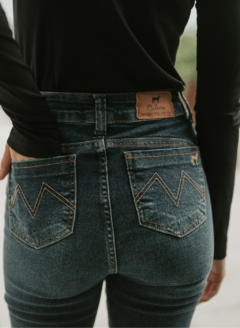 Calça Jeans Skinny na internet