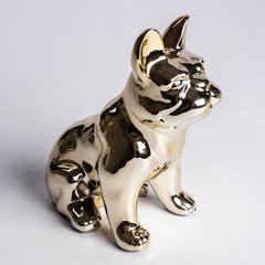 Bulldog Goldy - tienda online