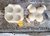170F - Botão da Rosa Média 4 Pétalas Conjugada - Frisadores em Resina na internet